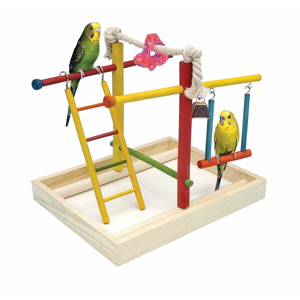 10 Wood Bird Play Gym for Table Top